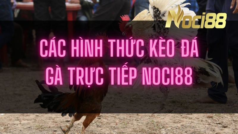 Kèo đá gà cựa dao có tính sát thương cực cao