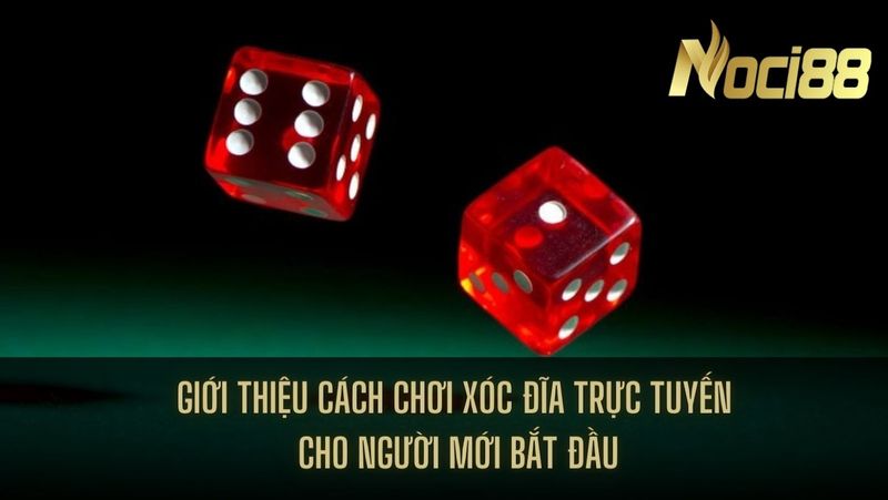 Mẹo chơi xóc đĩa trực tuyến đánh bại nhà cái